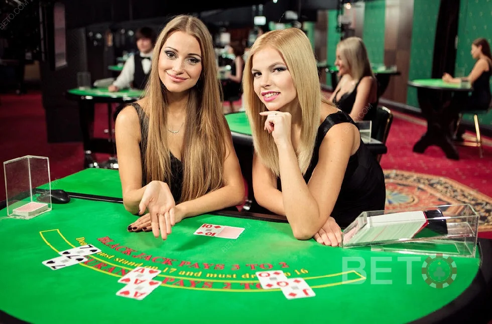 Suasana dealer profesional di meja kasino live HOKIBET